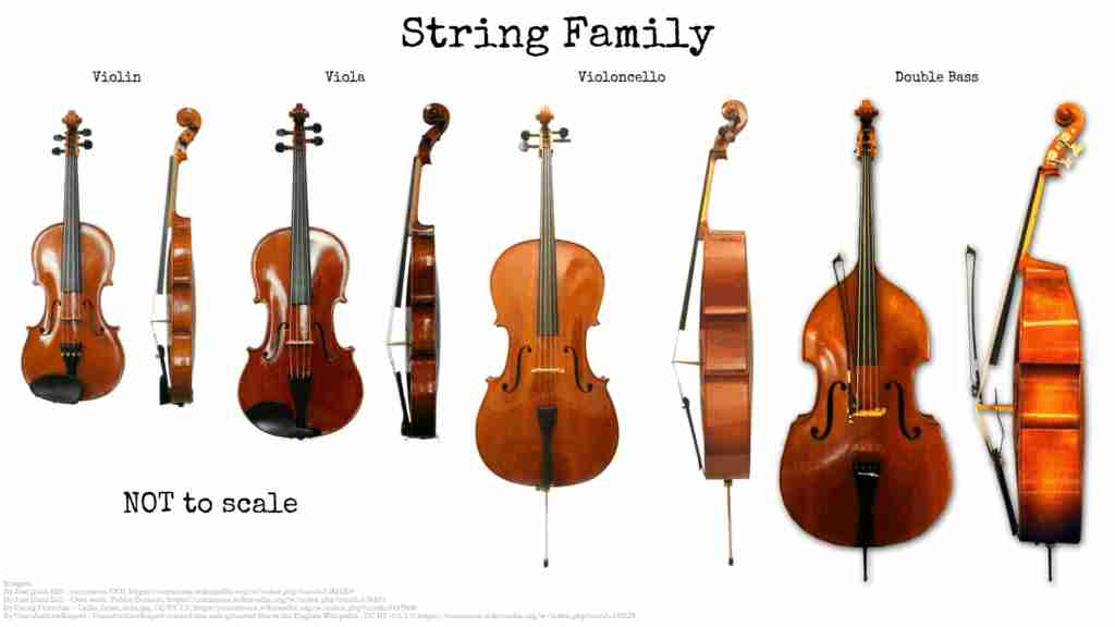 cr-2 sb-1-String Familyimg_no 1473.jpg